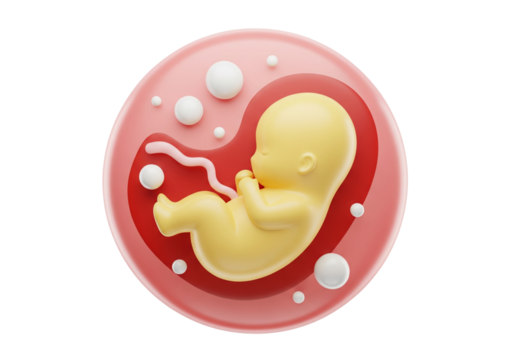 Human Fetus in Womb: 3D Render Illustrating Embryonic Development, Pregnancy, and the Beginning of New Life