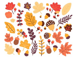 Colorful autumn elements with varied leaves, acorns and berries on white background, ideal for seasonal designs and nature themes