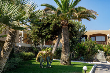 Stunning photo of a lush resort garden featuring palm trees, succulents, and well-manicured lawns....