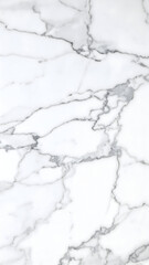 Obraz premium White Marble Texture Background: Grey Veins Pattern