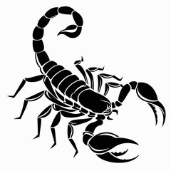 Scorpion Silhouette Vector, Black Fill on White Background