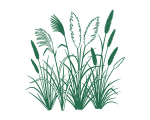 Obraz premium Elegant Green Ornamental Grasses with Feathery Plumes, Detailed Texture Silhouette, Isolated on White Background, Vector Illustration