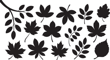 Obraz premium Vector set of decorative autumn leaf silhouettes