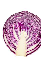 Obraz premium Meticulously cut cross-section of a fresh red cabbage, vibrant purple and deep magenta layers subtly transitioning to a creamy white core on a transparent studio background, concept of natural beauty