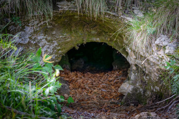 Brown bear den, where the animal takes refuge during hibernation. Cave entrance.