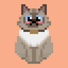 Pixel Art Siamese Cat Sitting with Collar