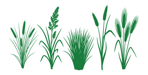 Fototapeta premium Green Grass Clumps Collection, Plants Foliage Isolated on White Background, Meadow and Field Grasses, Vector Illustration