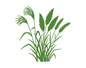 Fototapeta premium Green Meadow Grass Bush Vector Illustration, Green Silhouette Bush on White Background, Meadow Grass Vector Illustration.