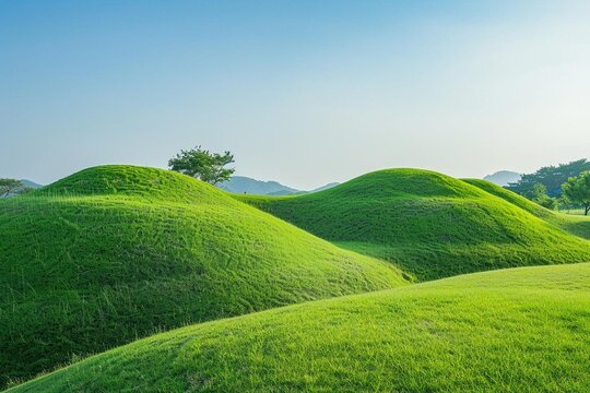rice field in thailand