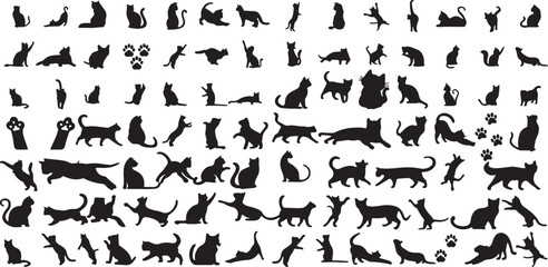 cat, silhouette, animal, pet, feline, domestic cat, kitten, playful, sleeping, stretching, jumping, walking, sitting, standing, hunting, curious, alert, elegant, graceful, playful cat, sleeping cat, s