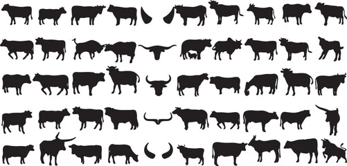 cow, bull, cattle, livestock, farm animal, bovine, herd, animal silhouette, farm, ranch, agriculture, domestic animal, grazing, beef, dairy, horned, longhorn, buffalo, bison, rodeo, western, countrysi