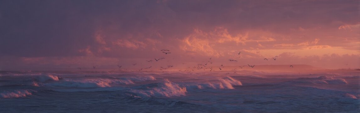 Dramatic coastal scenery showcasing a mesmerizing sunset with dynamic waves and soaring birds - Powered by Adobe