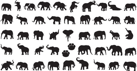 elephant, mammal, animal, silhouette, wildlife, nature, pachyderm, trunk, tusks, large, heavy, standing, walking, running, trumpeting, baby elephant, mother and baby, paw print, track, wild, black and