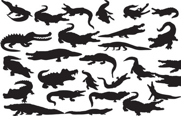 alligator, crocodile, reptile, animal, silhouette, wildlife, nature, predator, swamp, river, water, jaws, teeth, scales, tail, legs, claws, aggressive, hunting, danger, wild, creature, reptilian, aqua