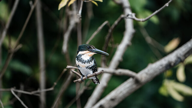 Costa Rica, Various