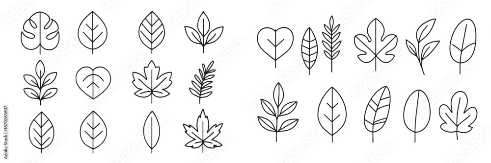 Poster collection of hand-drawn leaf illustrations in various shapes and sizes on a simple background