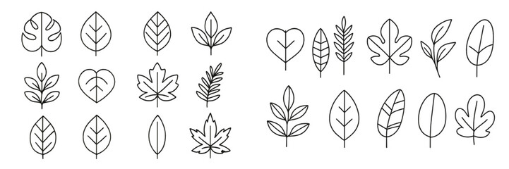 Collection of hand-drawn leaf illustrations in various shapes and sizes on a simple background