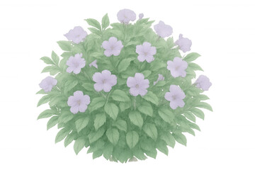 Verdant shrub bearing soft lavender blossoms, standing against transparent backdrop, enhancing botanical graphic projects