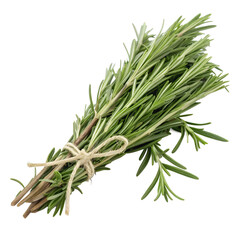 Fototapeta premium Aromatic fresh rosemary bundle tied with rope isolated on transparent background, perfect for culinary and herbal themes