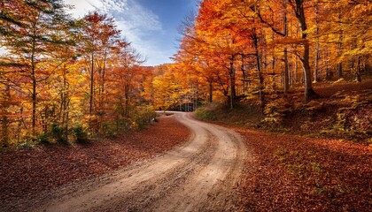 Obraz premium winding dirt road surrounded by vibrant autumn trees with orange and yellow foliage in forest