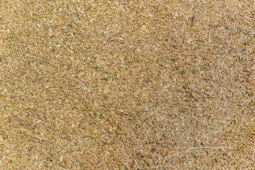 High resolution surface detail of straw and wood shavings on barn floor showing natural organic texture and golden tones used for livestock bedding