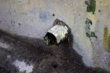 Closeup of a rusty metal pipe protruding from a weathered concrete wall