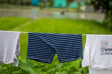 Striped boxer shorts and tshirt drying on a clothesline outdoors