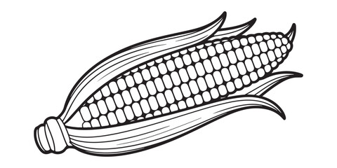CORN  outline coloring book page line art  silhouette VECTOR ILLUSTRATION