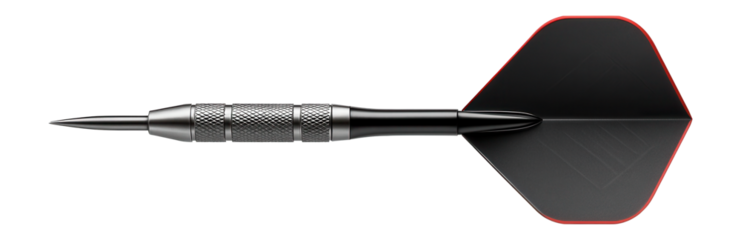 Tungsten dart with slim profile and aerodynamic flights for professional matches