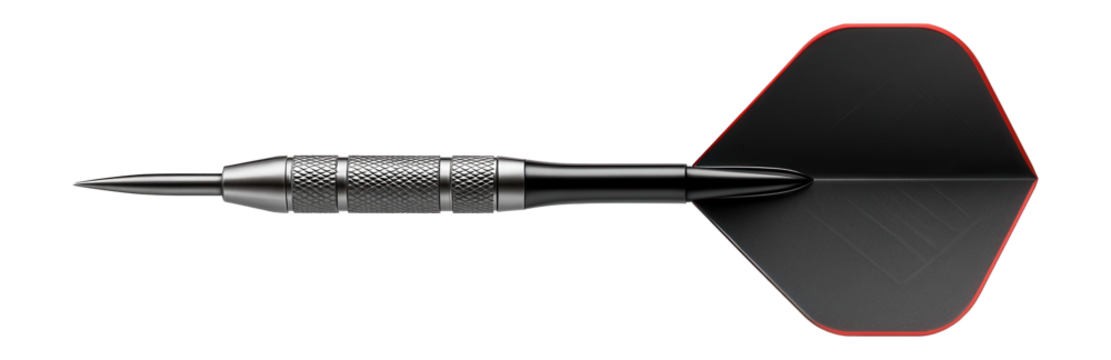 Tungsten dart with slim profile and aerodynamic flights for professional matches