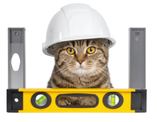 Tabby cat wearing a white construction hard hat, peering over a yellow spirit level.
