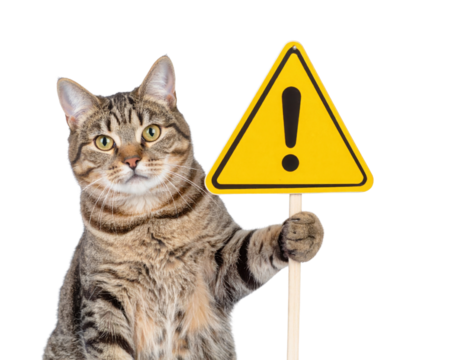 A tabby cat holding a yellow triangular warning sign with an exclamation mark, looking directly at the camera.