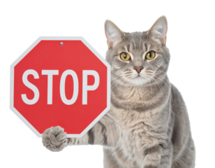 A gray tabby cat holding a red octagonal STOP sign with one paw, staring directly at the viewer.