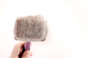 Hand holding pet brush covered in fur after grooming session