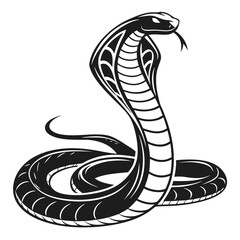 vector illustration of a black snake