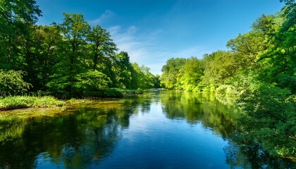 Fototapeta premium a tranquil river flows peacefully through a lush green forest reflecting the surrounding trees and the clear blue sky the scene is bathed in sunlight