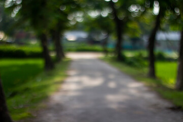 A blurred pathway lined with trees and green grass