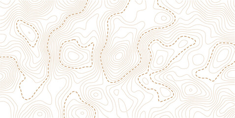 Abstract background of Topographic Contour Line Pattern. Vector illustration