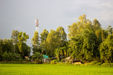 Cell tower and lush green trees in a rural landscape under a cloudy sky