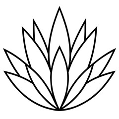 Simple Agave Plant Leaves Illustration