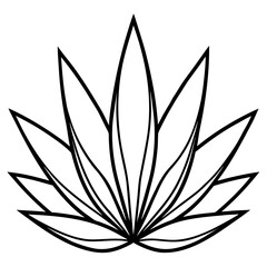 Simple Agave Plant Leaves Illustration