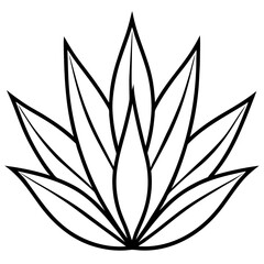 Simple Agave Plant Leaves Illustration