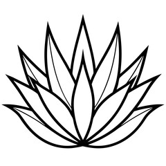 Simple Agave Plant Leaves Illustration