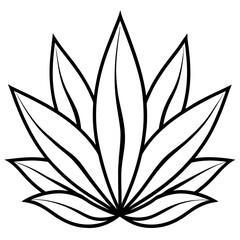 Simple Agave Plant Leaves Illustration