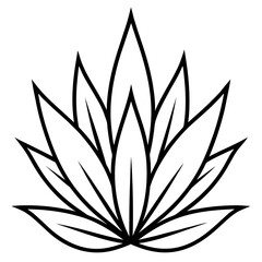 Simple Agave Plant Leaves Illustration