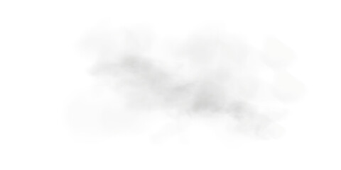 Fototapeta premium Light Grey Smoke Transparent Cloud Effect with Soft Mist and Vapor Texture