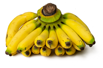 Photo of fresh golden Banaba taken with a high-resolution camera using the focus-stacking technique on a white background.