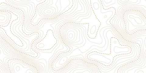 Abstract vector topographic map on white background
