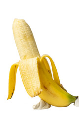 Photo of fresh golden Banaba taken with a high-resolution camera using the focus-stacking technique on a white background.