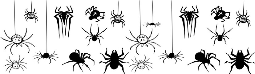 Spiders 